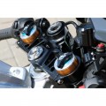 CNC Racing Upper Triple Clamp for Aprilia RSV4 (2015+) CNC Racing Upper Triple Clamp for Aprilia RSV4 (2015+)